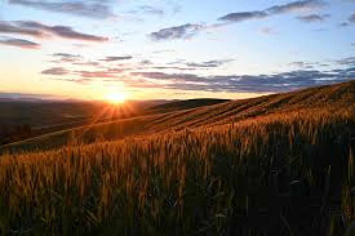 Morrow County Sunrise