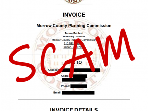 Fraudulent Invoice Example